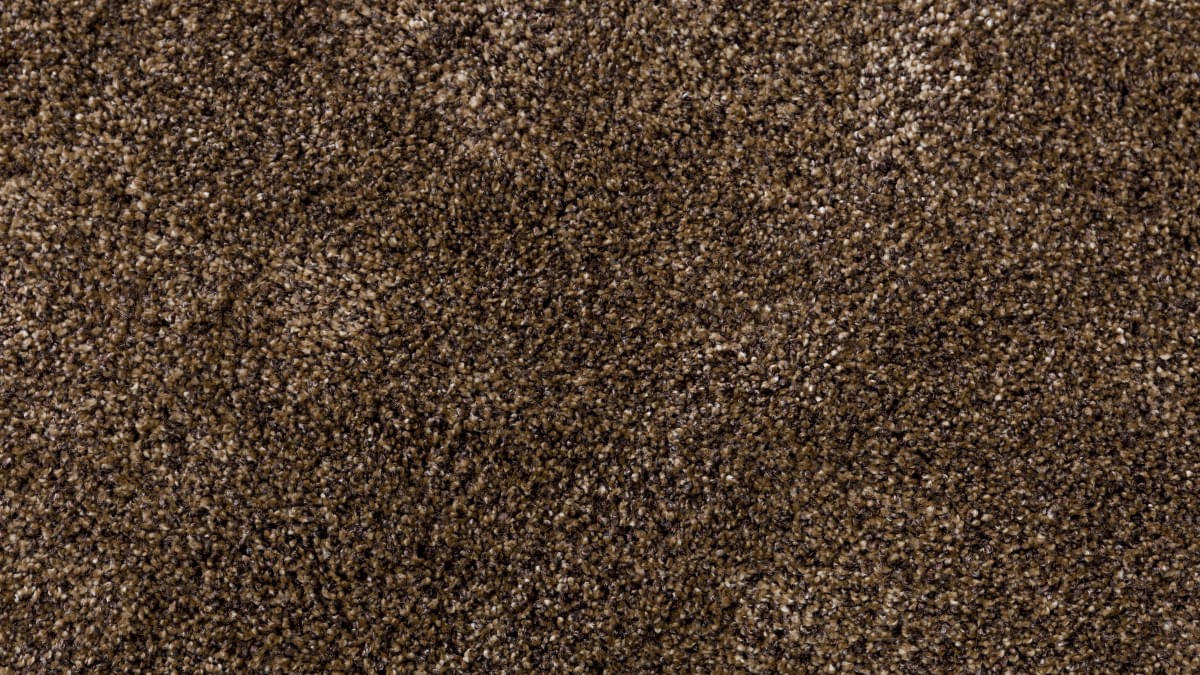 brown-carpet-2022-12-15-22-02-12-utc